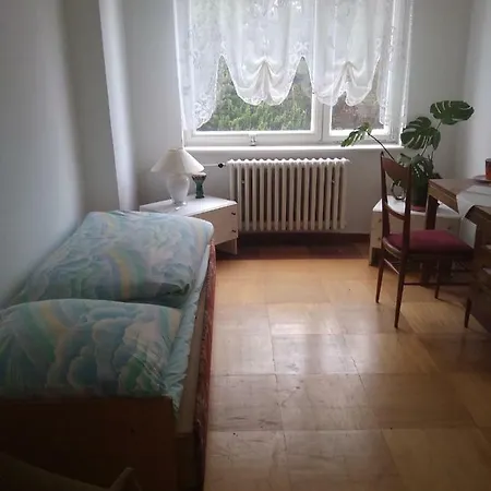 Ubytovani Vilova 8, * Karlovy Vary